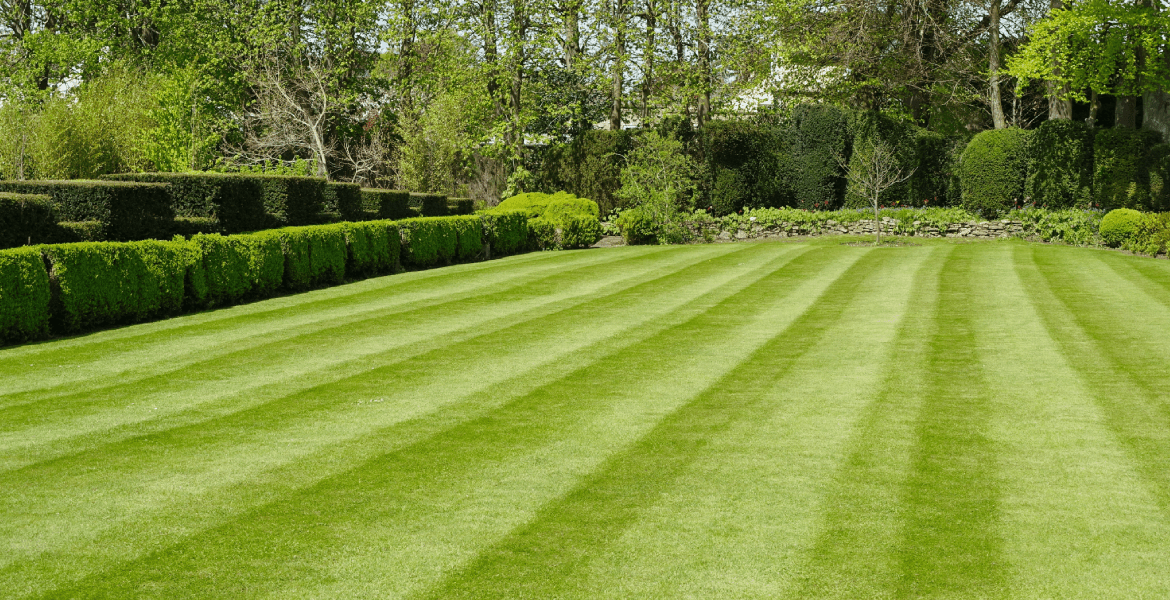 Landscaping Gomez